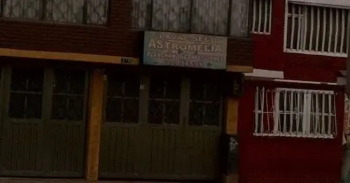 LAVASECO ASTROMELIA BOGOTÁ LAVASECO ASTROMELIA BOGOTÁ